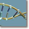 Joachim Knappe illustration, dns-doubling